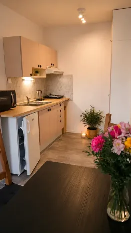 Pronájem bytu 2+kk, Praha - Chodov, Jarníkova, 45 m2