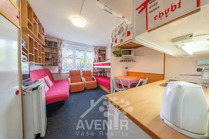 Prodej bytu 1+kk, Velké Hamry, 19 m2