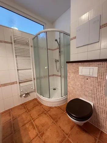 Pronájem bytu 1+kk, České Budějovice, Tylova, 39 m2