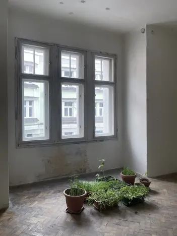 Prodej bytu 3+1, Hradec Králové, Škroupova, 112 m2