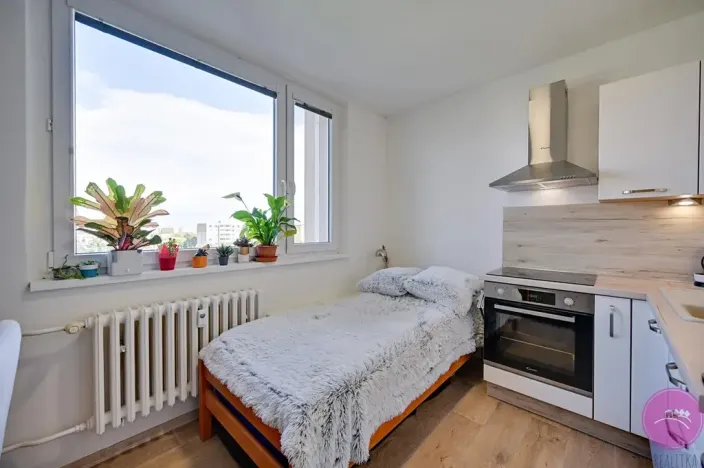 Prodej bytu 1+1, Olomouc, Heyrovského, 32 m2