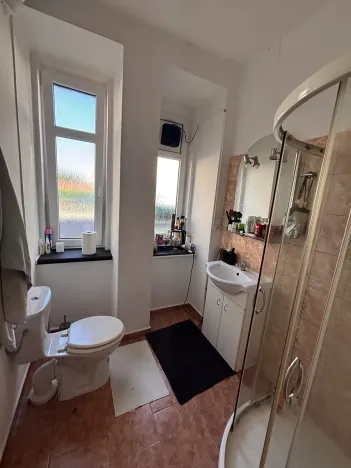 Prodej bytu 2+kk, Liberec, Americká, 56 m2