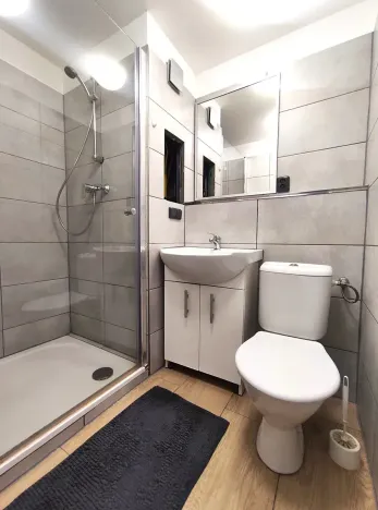 Pronájem bytu 1+kk, Ostrava, Nádražní, 27 m2