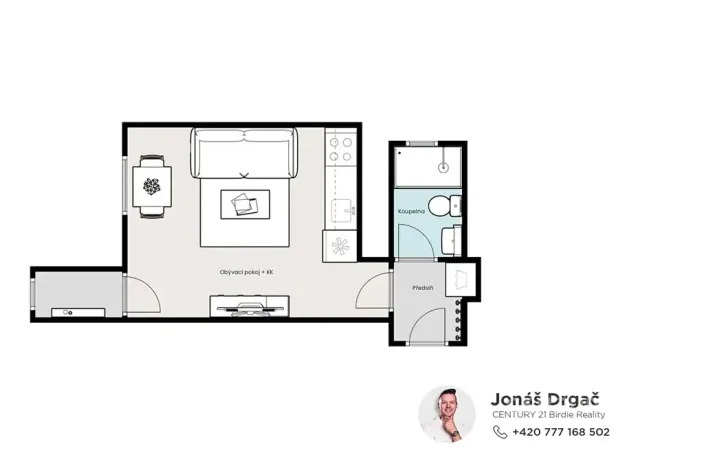 Pronájem bytu 1+kk, Praha - Nusle, Sezimova, 27 m2