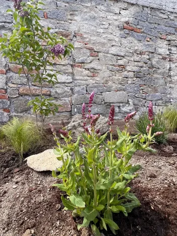 Prodej chalupy, Zalužany, 70 m2