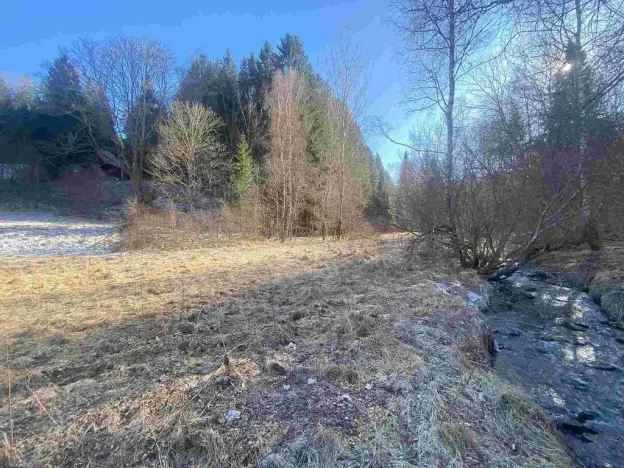 Prodej pole, Čachrov - Javorná, 10377 m2