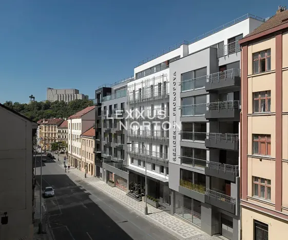 Pronájem bytu 4+kk, Praha - Žižkov, Prokopova, 91 m2