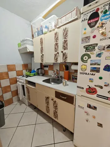 Pronájem bytu 1+1, Vsetín, Družstevní, 37 m2
