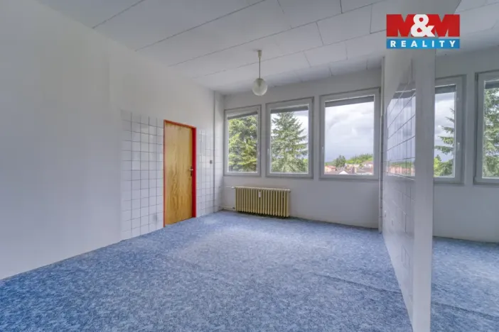 Pronájem obchodního prostoru, Nepomuk, Na Vinici III., 39 m2