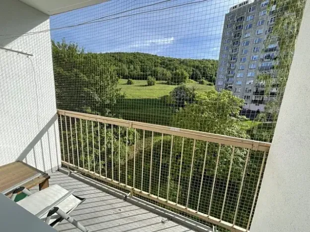Pronájem bytu 1+1, Ústí nad Labem, Jizerská, 36 m2