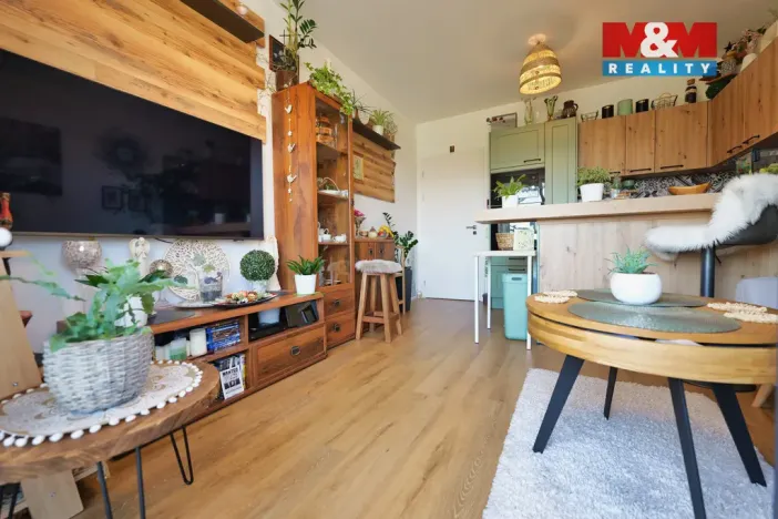 Prodej bytu 3+kk, Rostěnice-Zvonovice - Rostěnice, 53 m2