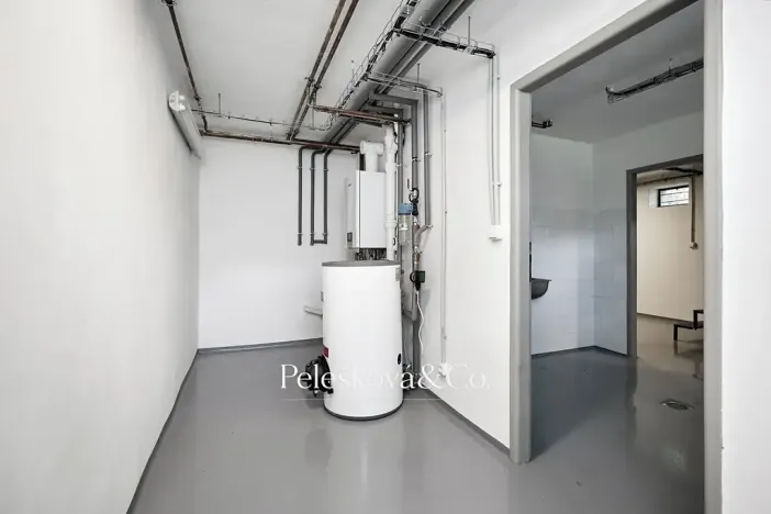 Pronájem rodinného domu, Praha - Braník, V malých domech I, 300 m2