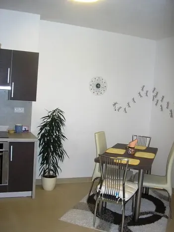 Pronájem bytu 1+kk, Olomouc, Mošnerova, 47 m2