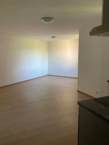 Pronájem bytu 1+1, Liberec, Šlikova, 38 m2