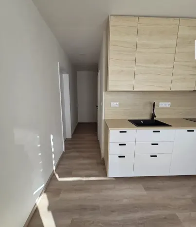 Pronájem bytu 1+1, Brno, Záhřebská, 36 m2
