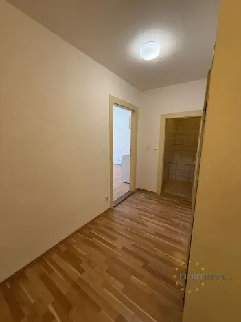 Pronájem bytu 1+kk, Praha - Nusle, Žateckých, 40 m2