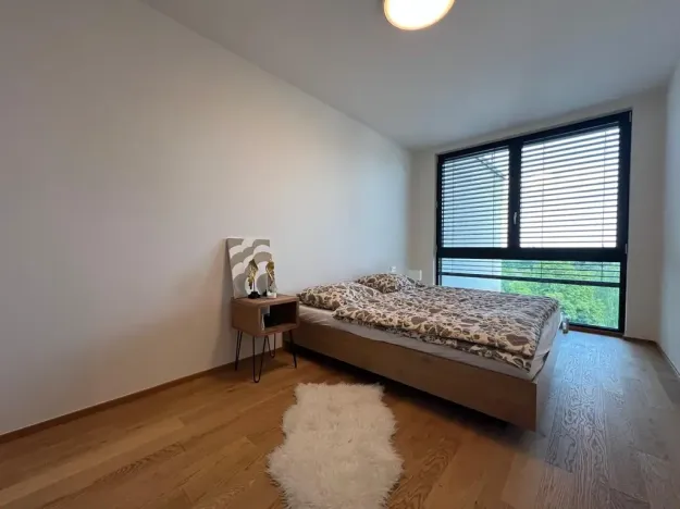 Pronájem bytu 2+kk, Praha - Břevnov, Radimova, 62 m2
