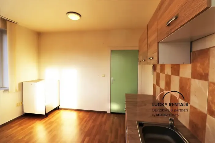 Pronájem bytu 1+kk, Průhonice, U Křížku, 20 m2