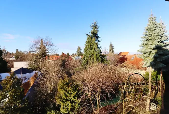 Pronájem bytu 1+kk, Průhonice, U Křížku, 20 m2