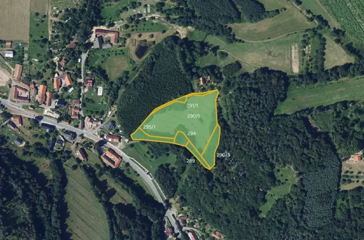 Prodej louky, Bystřice nad Pernštejnem, 26474 m2