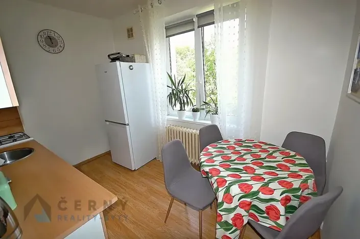 Pronájem bytu 2+1, Liberec, Slovenského národního povstání, 53 m2