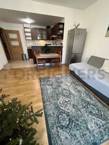 Pronájem pokoje, Praha - Žižkov, Lukášova, 16 m2