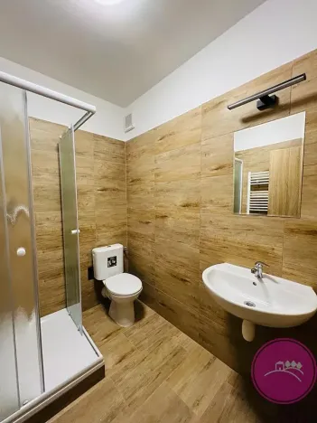 Pronájem bytu 1+kk, Olomouc, Uhelná, 40 m2