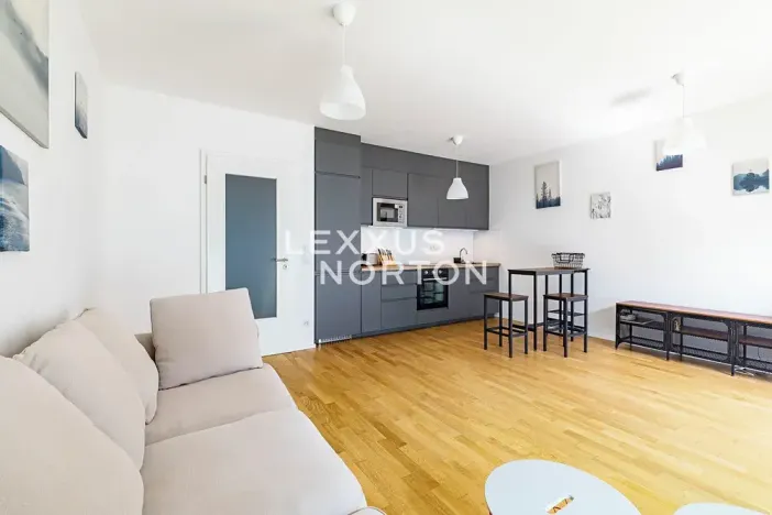 Prodej bytu 1+kk, Praha - Žižkov, U Viktorie, 40 m2