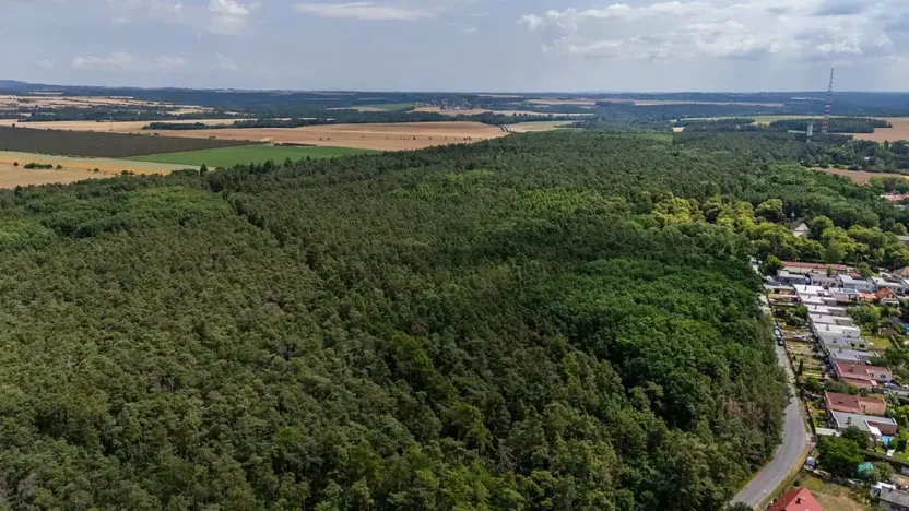 Prodej zemědělské usedlosti, Mělník, Chloumecká, 93 m2