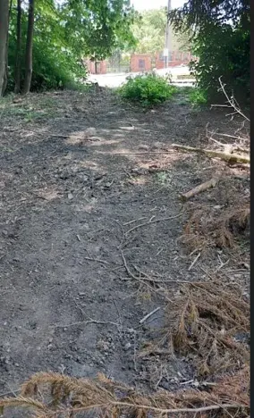 Prodej lesa, Těrlicko, 565 m2