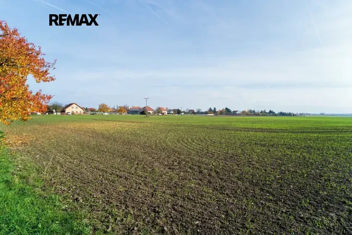 Prodej pozemku pro bydlení, Všechlapy, 9214 m2