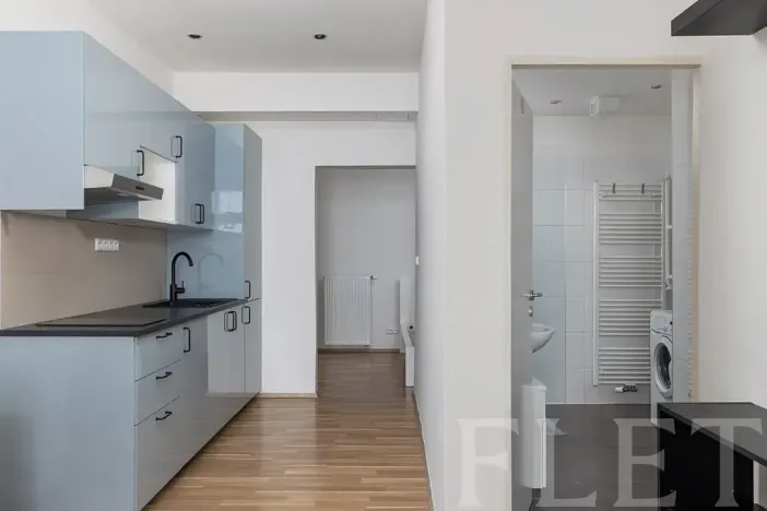 Pronájem bytu 1+kk, Praha - Nové Město, Navrátilova, 30 m2