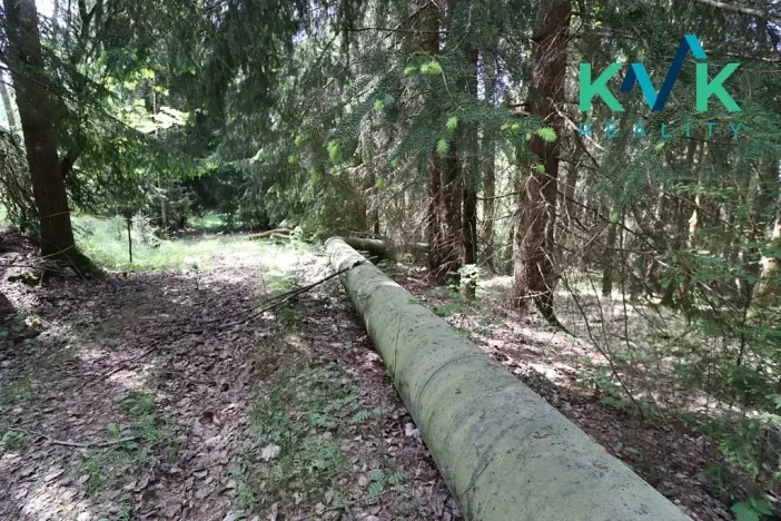 Prodej chaty, Jáchymov, Zálesí, 86 m2