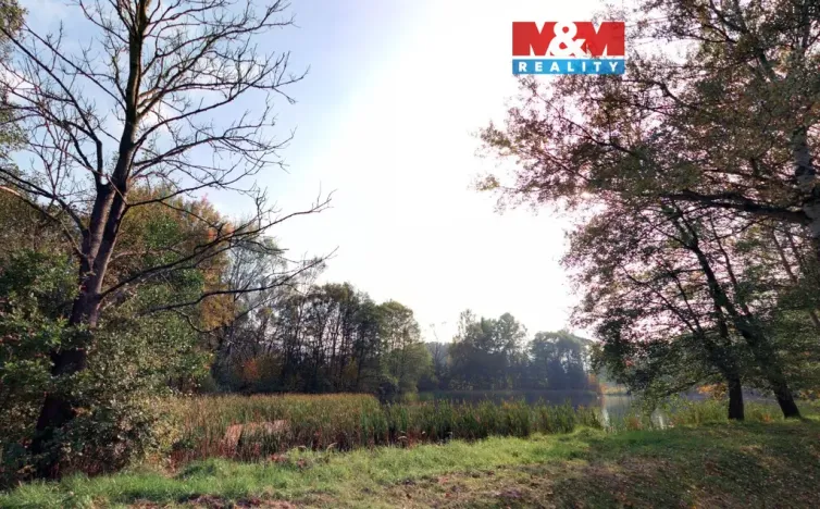 Prodej louky, Petrovice - Obděnice, 7011 m2