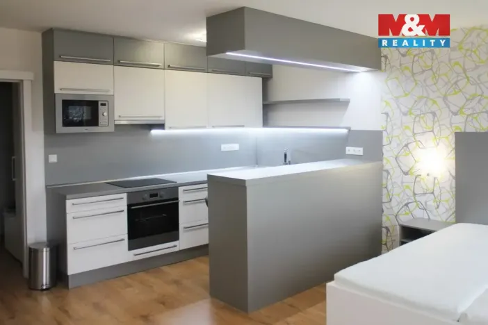 Pronájem bytu 1+kk, Ústí nad Labem - Všebořice, Spartakiádní, 31 m2