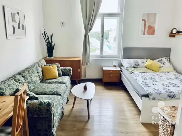 Pronájem bytu 1+kk, Praha - Karlín, Šaldova, 25 m2