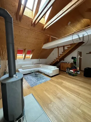 Pronájem bytu 3+kk, České Budějovice, Branišovská, 140 m2