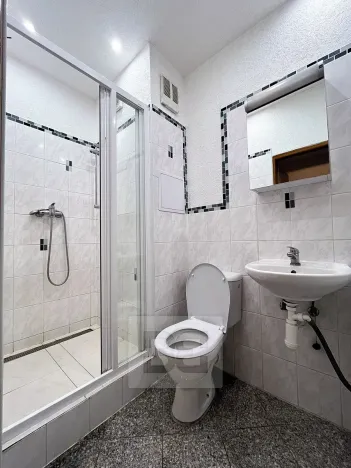 Pronájem bytu 2+1, Plzeň, Blatenská, 60 m2