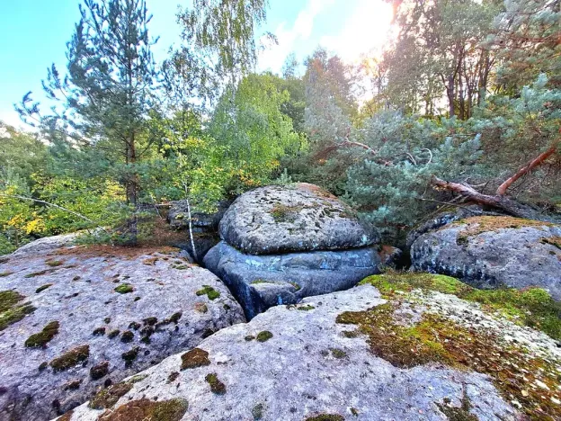 Prodej zemědělské usedlosti, Kanina, 500 m2