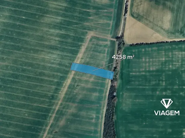 Prodej podílu pole, Litenčice, 2129 m2