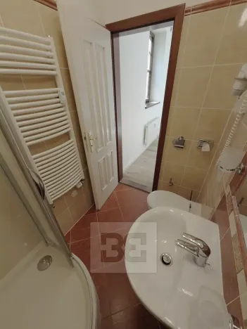 Pronájem bytu 1+kk, Praha - Vinohrady, Balbínova, 14 m2
