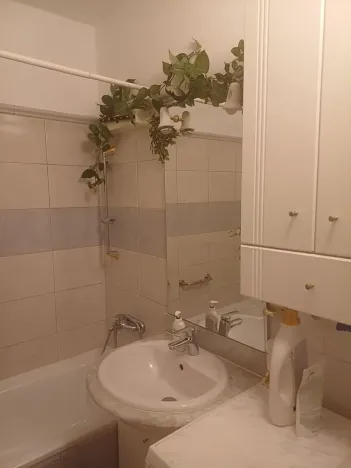 Pronájem bytu 2+kk, Brno, Oblá, 56 m2