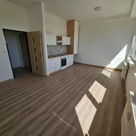 Pronájem bytu 2+kk, Mlékojedy, 50 m2
