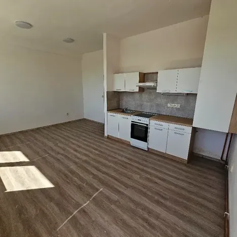 Pronájem bytu 2+kk, Mlékojedy, 50 m2