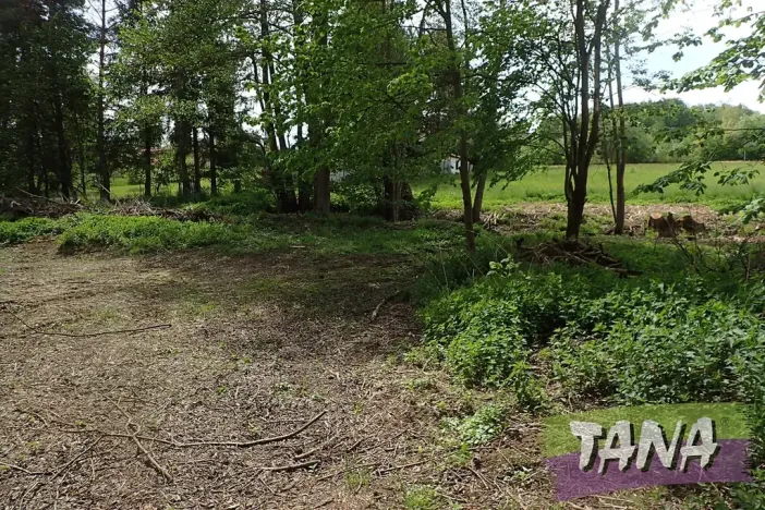 Prodej pozemku pro bydlení, Mladějov, 2297 m2