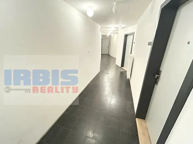 Pronájem bytu 2+kk, Plzeň, Papírnická, 50 m2