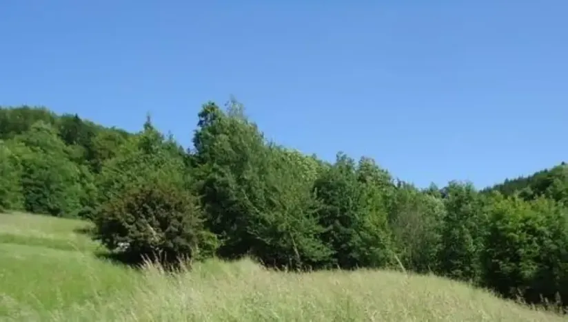 Prodej louky, Vojnův Městec, 9000 m2