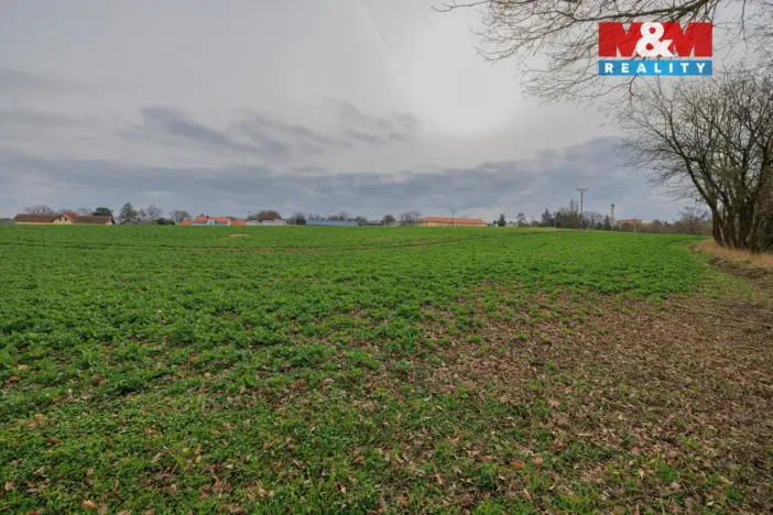 Prodej pozemku pro bydlení, Dobřany, 6134 m2