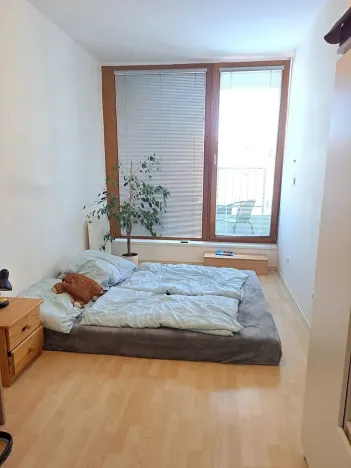 Pronájem bytu 2+kk, Hradec Králové, Kollárova, 55 m2