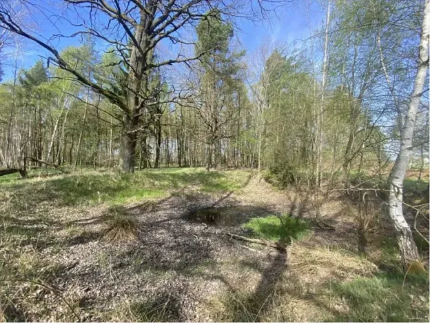 Dražba louky, Hranice, 1061 m2
